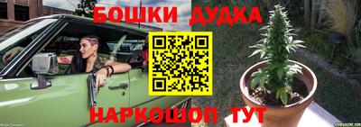 мдпв Гай