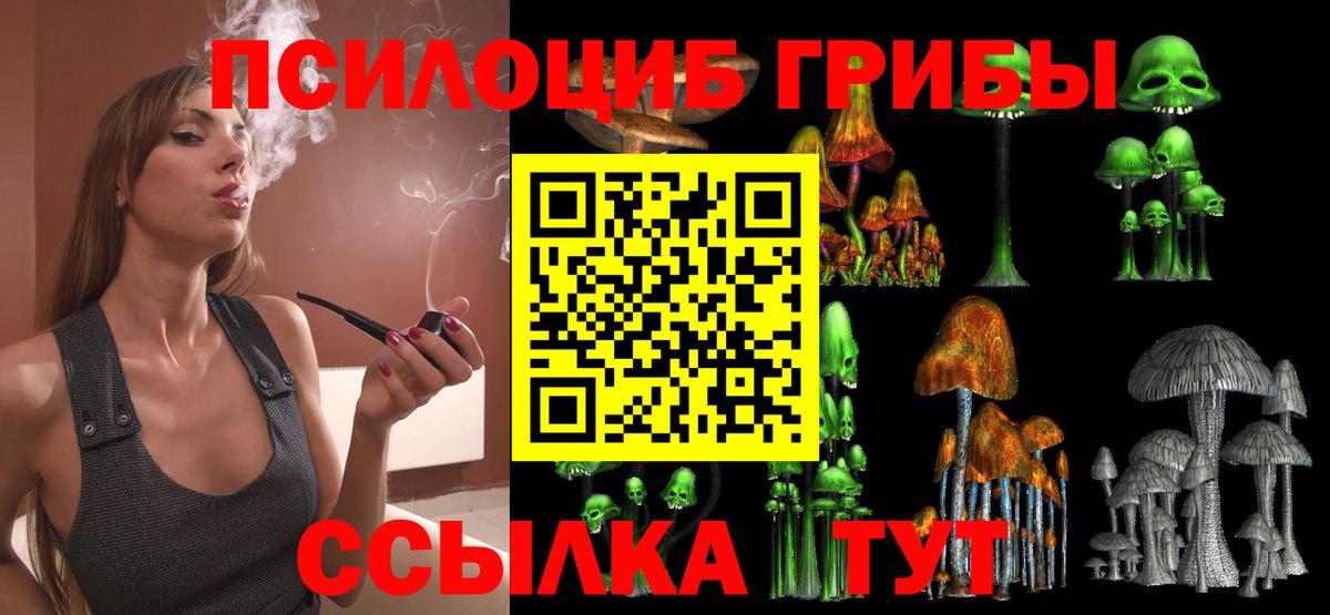 Галлюциногенные грибы мухоморы Юрга